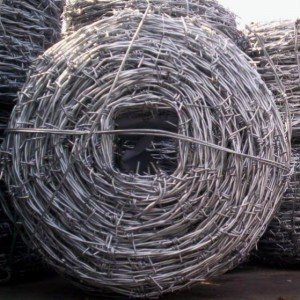 Barbed Wire