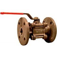 S.S FLANGED